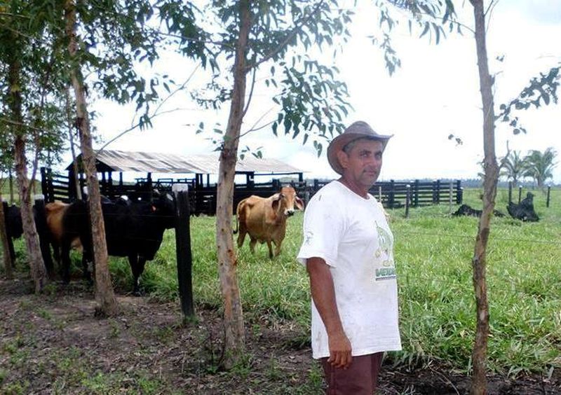 notícia: Emater garante crédito rural para famílias agricultoras em Ulianópolis