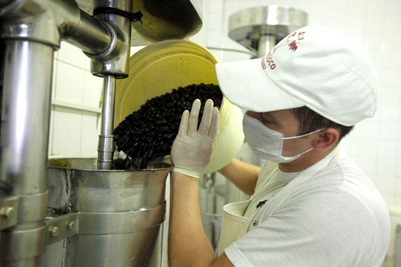 notícia: Estado discute plano estadual de expansão do açaí