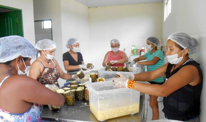 notícia: Abacaxi garante produção de mulheres indígenas de Paragominas