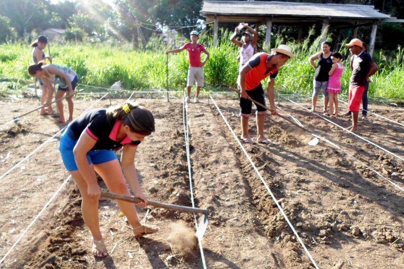 notícia: Emater e Senar capacitam comunidades rurais em Belterra