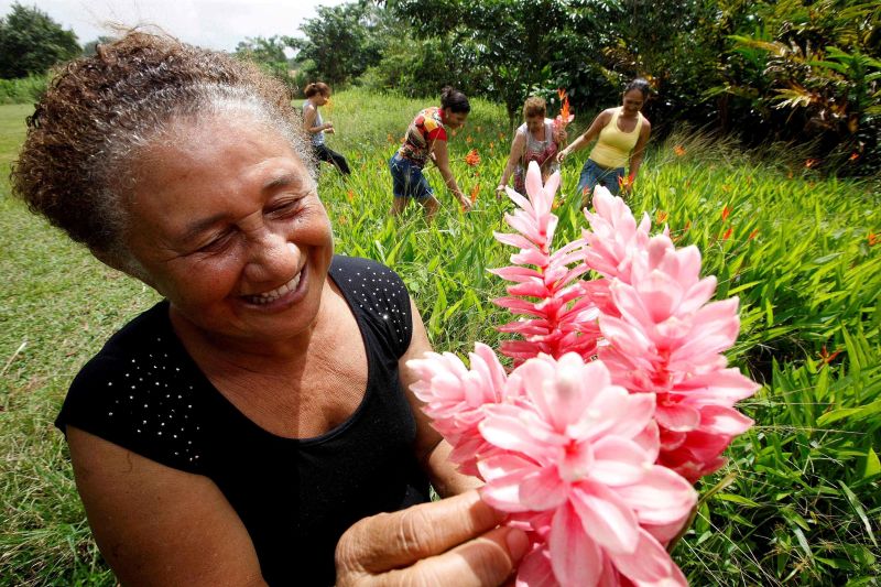 notícia: No dia do produtor rural, Emater apresenta experiências de sucesso