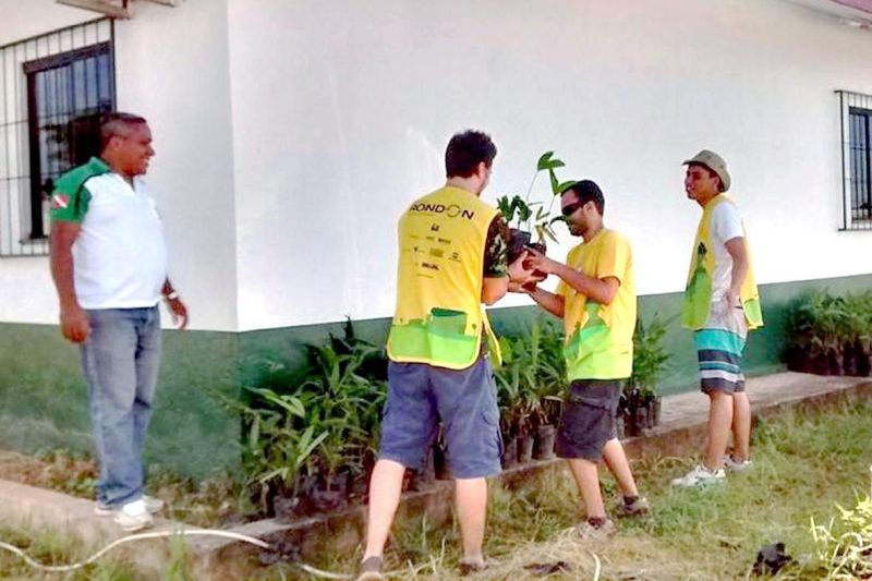 notícia: Produtores de Água Azul do Norte e Rio Maria recebem mudas florestais