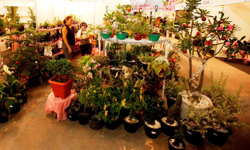 notícia: Emater mostra trabalho de extensão na Feira da Produção Familiar e Feira Flor de Santarém