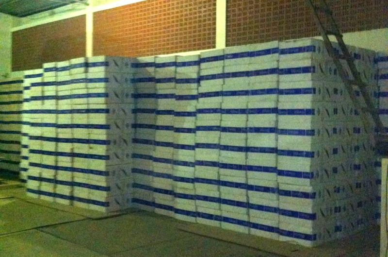 notícia: Sefa apreende mais de 49 mil pacotes de cigarro em Cachoeira do Piriá