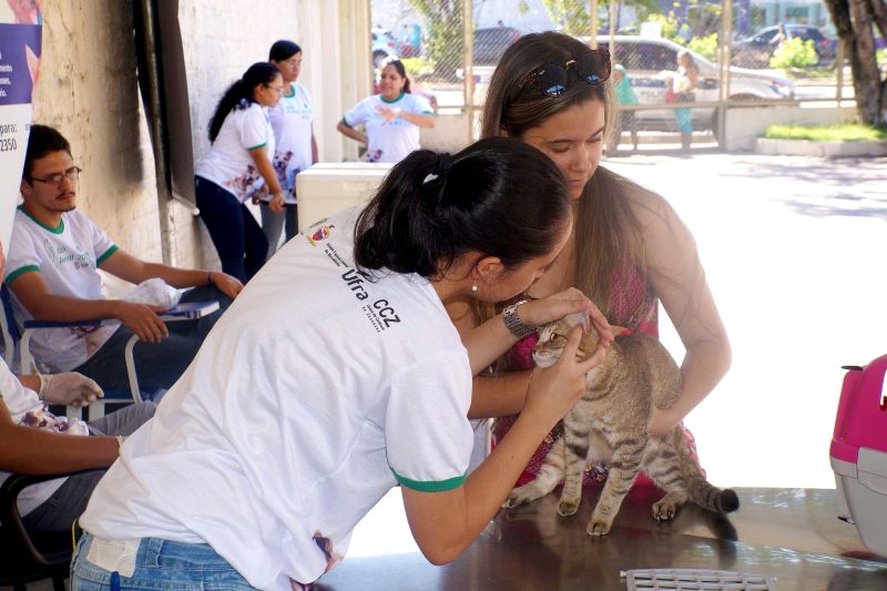 notícia: Violência contra animais pode gerar pena de até um ano de prisão. Dema alerta sobre maus tratos.