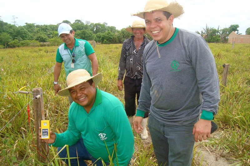 notícia: Dia de Campo viabiliza cadeia produtiva do leite em Aurora do Pará