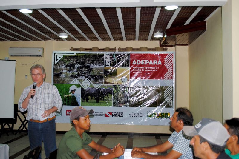 notícia: Campanha contra a Febre Aftosa é lançada no município de Breves