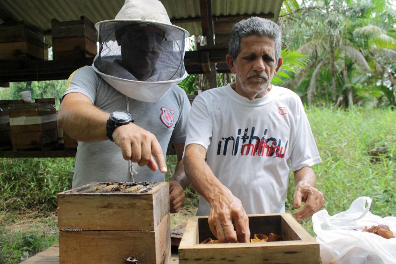 notícia: Internos da CPASI são capacitados para criação de abelhas