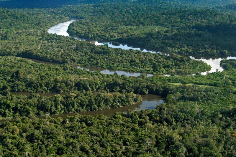 notícia: Simão Jatene participa de Fórum sobre Desmatamento Zero em São Paulo