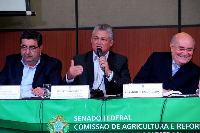 notícia: Audiência pública no Hangar discute os rumos da cadeia do cacau no Pará