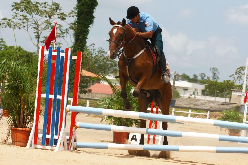 notícia: Torneio hípico mostra qualidade do regimento de polícia montada da PM