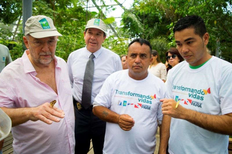 notícia: Convênio garante produção de plantas para alimentar borboletas do Mangal
