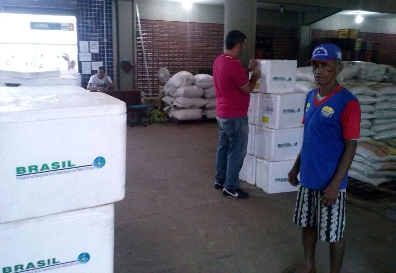 notícia: Adepará apreende 80 mil doses de vacina contra a febre aftosa em Monte Alegre 