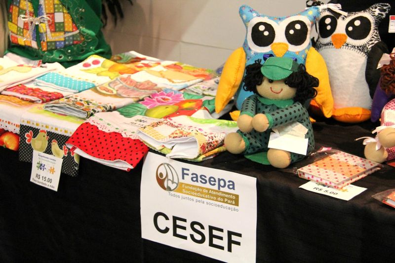 notícia: Fasepa apresenta no TCE atividades socioeducativas desenvolvidas no Estado