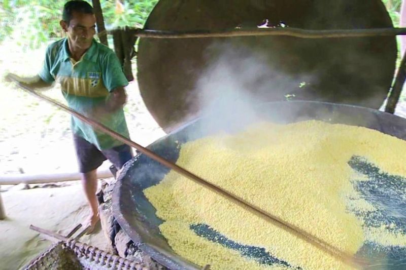 notícia: TV Cultura exibe documentários produzidos por alunos do IFPA