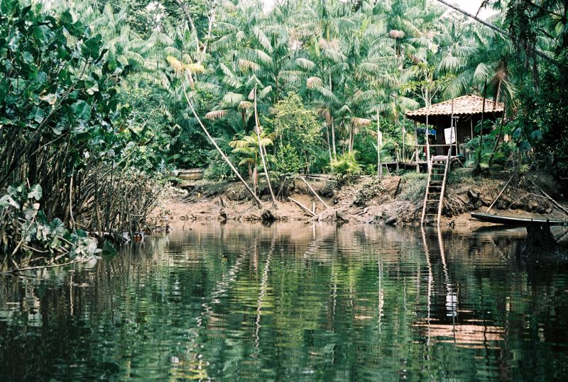 notícia: APA do Combu completa 18 anos com ecossistema de várzea e beleza cênica