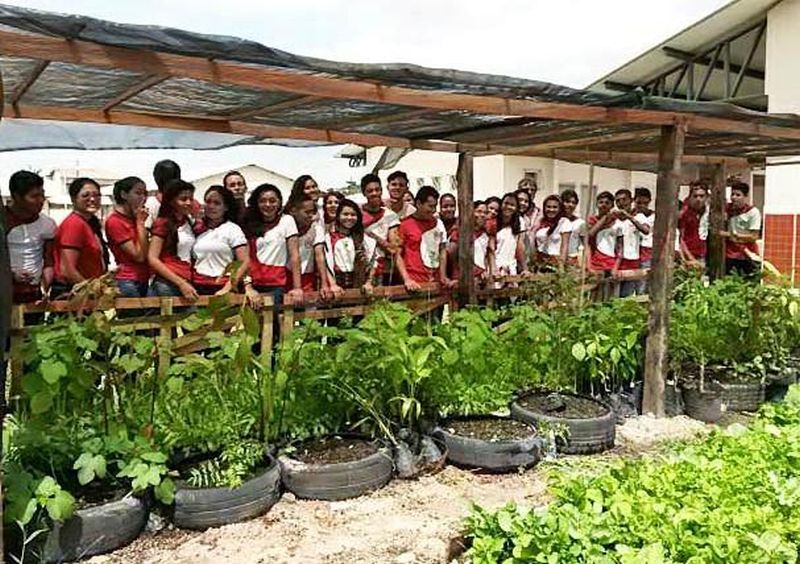 notícia: Horta desperta interesse de jovens da Escola Manoel Leite 