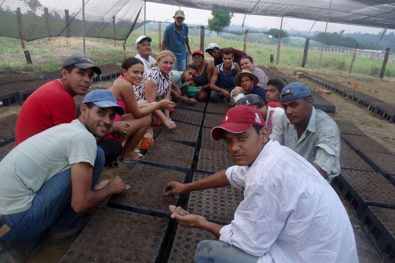 notícia: Projeto Pará Florestal impulsiona produção de mudas e mecanização agrícola em Rondon do Pará 