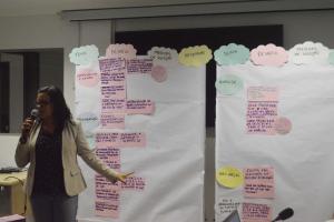 notícia: Oficina discute diretrizes e plano de ação para 2018