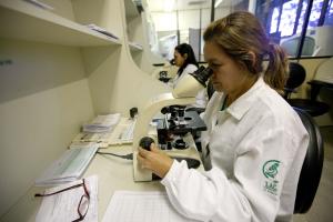 notícia: Fórum debaterá tratamento para câncer de útero avançado