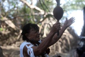 notícia: “Encantados” traz para a tela do cinema a magia do Marajó