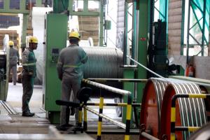 notícia: Pará 2030 contribui para geração de empregos formais