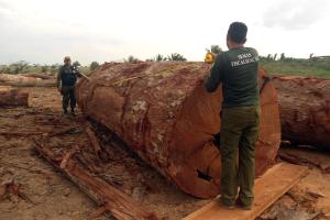 notícia: Semas divulga balanço das ações de 2016