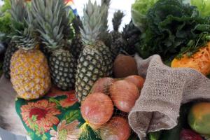 notícia: Programa fortalece agricultura familiar e gera alimentos para assistência