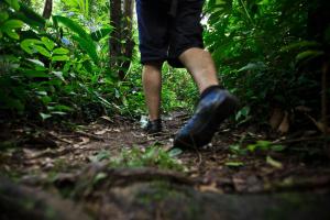 notícia: Parque do Utinga, a casa da natureza