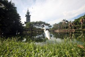 notícia: Unidos pela brisa e pela diversidade