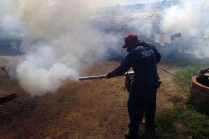 notícia: Governo envia mais 10 mil doses de vacina contra febre amarela para Alenquer