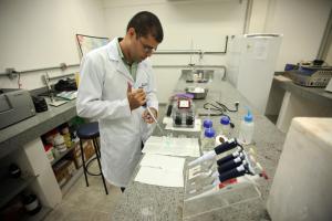 notícia: Pesquisas auxiliam no melhoramento da cadeia produtiva do Pará