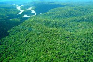 notícia: Governo do Pará cria cinco novos projetos estaduais de assentamento