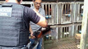 notícia: Policiais da Dema autuam homem acusado de maus-tratos a animais