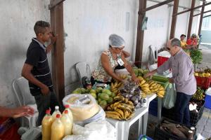 notícia: Feira do Produtor Rural é realizada na sede da Procuradoria-Geral