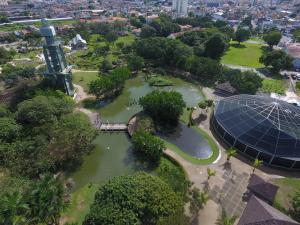 notícia: Domingo é dia contação de história no Mangal das Garças