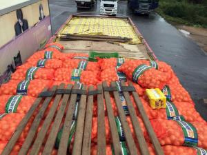 notícia: Sefa apreende mais de 134 mil latas de cerveja irregular