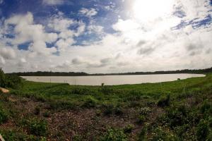 notícia: Belém sedia I Copa Amazônia de Remo no Parque do Utinga