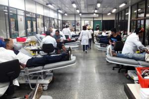 notícia: Mais de 300 bolsas de sangue são coletadas na abertura da campanha