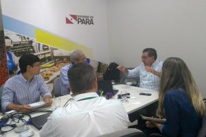 notícia: Empresas de polpa de açaí investem na verticalização