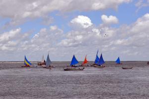 notícia: Regata reuniu quase 150 competidores em Algodoal