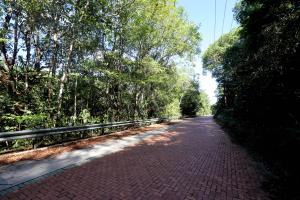 notícia: Palestra vai expor novo modelo de gestão no Parque Estadual do Utinga