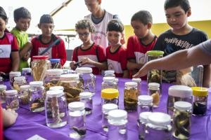 notícia: Mostra Zoológica incentiva preservação da biodiversidade