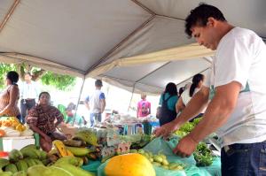 notícia: Feira expõe produção dos alunos de Educação do Campo em Belém
