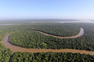 notícia: CAR e recursos geotecnológicos facilitam regularização ambiental
