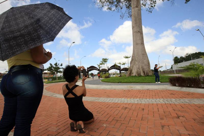 Observar seu entorno e aprimorar o próprio olhar. Este é o princípio da oficina de fotografia ministrada pelo fotojornalista Sidney Oliveira, que desde a última segunda-feira, 5, está no Centro Comunitário da Comunidade Pantanal, no bairro do Curió-Utinga, onde 17 jovens participam do Projeto Biizu, que abriu assim suas atividades de 2018.
FOTO: RODOLFO OLIVEIRA / AG. PARÁ
07.03.2018
BELÉM - PARÁ <div class='credito_fotos'>Foto: Rodolfo Oliveira/Ag. Pará | <a href='/midias/2018/originais/018917e8-f53e-4b45-8604-e1b33ca0f0da.jpg' download><i class='fa-solid fa-download'></i> Download</a></div>