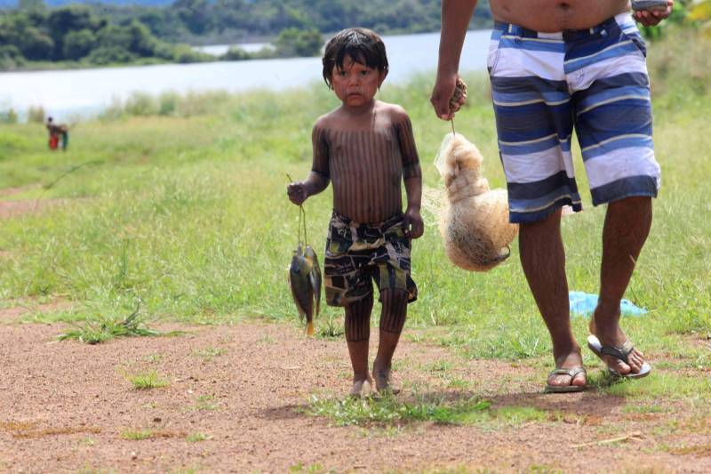 Está quase tudo pronto para a 6ª Semana dos Povos Indígenas, que começa neste domingo (15), em São Félix do Xingu, no sudeste do Pará. Antes de sair das aldeias em direção a São Félix – o terceiro maior município paraense em extensão territorial, atrás apenas de Altamira e Oriximiná –, as tribos fazem festa, numa espécie de preparação para os dias vindouros longe de casa. Na aldeia Krôkamôr, às margens do Rio Xingu e longe cerca de oito horas de barco da sede municipal, homens, mulheres e crianças Kayapó se unem na dança Kwyrykangô.
FOTO: RODOLFO OLIVEIRA / AG. PARÁ
DATA: 15.04.2018
SÃO FÉLIX DO XINGU - PARÁ <div class='credito_fotos'>Foto: Rodolfo Oliveira/Ag. Pará | <a href='/midias/2018/originais/01a3668f-ed48-4ab9-abf0-304ab7b20a0a.jpg' download><i class='fa-solid fa-download'></i> Download</a></div>