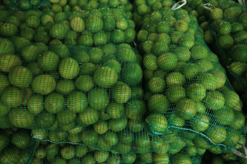 Com a chegada do verão, é importante reforçar o consumo de frutas para a absorção de nutrientes importantes e também para o combate à desidratação. Como toda a estação, existem as frutas da época, que, por conta da oferta, costumam ficar mais baratas. Uma das opções para a compra de frutas da estação é a Central de Abastecimento do Pará (Ceasa).
FOTO: RODOLFO OLIVEIRA / AG. PARÁ
DATA: 09.07.2018
BELÉM - PARÁ <div class='credito_fotos'>Foto: Rodolfo Oliveira/Ag. Pará | <a href='/midias/2018/originais/0469eaa2-4b73-4d06-b6ea-1f5634337841.jpg' download><i class='fa-solid fa-download'></i> Download</a></div>