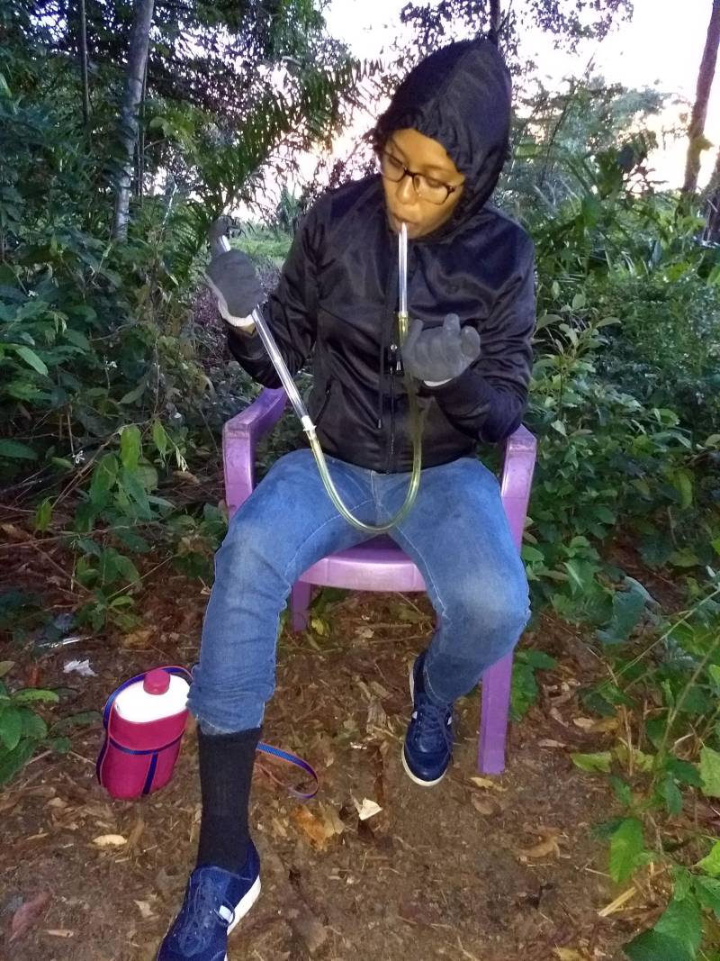 Pouca gente sabe, mas a Divisão de Entomologia do Laboratório Central do Estado (Lacen-PA) é responsável pelas pesquisas de campo que são fundamentais para o combate às endemias no Pará. A finalidade é observar e pesquisar o comportamento dos principais insetos transmissores de doenças como doença de Chagas, dengue, malária e leishmaniose e, assim, decidir qual a melhor estratégia de combate a ser usada. Tendo como responsável a bióloga entomologista Paoola Vieira, a Divisão trabalha, principalmente, integrada ao Departamento de Controle de Endemias da Secretaria de Estado de Saúde Pública (Sespa), setor que apresenta as demandas de ações de campo. "Trabalhamos com os vetores das principais endemias do estado: doenças de Chagas, leishmaniose, dengue e febre amarela. Então, o controle de todas as doenças transmitidas por vetores passa por aqui", informou Paoola. Na foto, coleta de espécimes de mosquitos Anopheles e mosquito palha.
FOTO: ASCOM / SESPA
DATA: 03.05.2018
<div class='credito_fotos'>Foto: ASCOM SESPA | <a href='/midias/2018/originais/059198b4-a850-4eea-8534-99c2210ec651.jpg' download><i class='fa-solid fa-download'></i> Download</a></div>