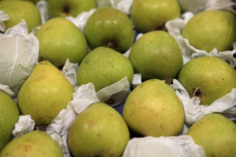 Com a chegada do verão, é importante reforçar o consumo de frutas para a absorção de nutrientes importantes e também para o combate à desidratação. Como toda a estação, existem as frutas da época, que, por conta da oferta, costumam ficar mais baratas. Uma das opções para a compra de frutas da estação é a Central de Abastecimento do Pará (Ceasa).
FOTO: RODOLFO OLIVEIRA / AG. PARÁ
DATA: 09.07.2018
BELÉM - PARÁ <div class='credito_fotos'>Foto: Rodolfo Oliveira/Ag. Pará | <a href='/midias/2018/originais/07072a7a-4866-47c6-9a28-a59f51606cf0.jpg' download><i class='fa-solid fa-download'></i> Download</a></div>